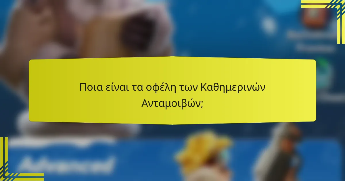Ποια είναι τα οφέλη των Καθημερινών Ανταμοιβών;
